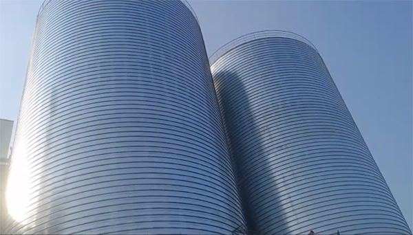 凉城2座混凝土高架卷板仓